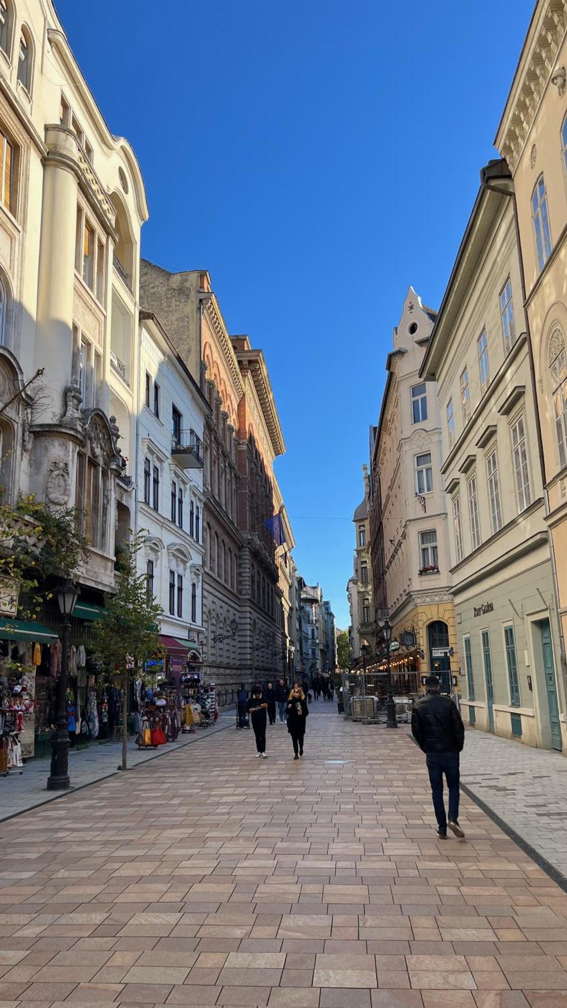 Mirage Apartments Vaci Street Budapest Bagian luar foto